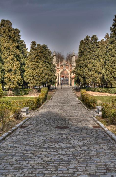 IMG_3490_1_2_tonemapped