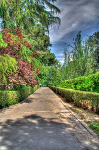 _MG_0538_39_40Enhancer