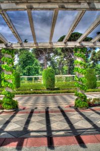 _MG_0561_2_3Enhancer