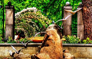 _MG_0587_8_9Enhancer