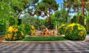 _MG_0590_1_2Enhancer