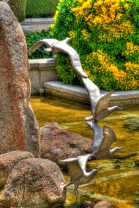 _MG_0609_10_11Enhancer