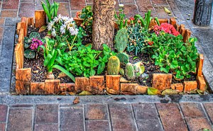 _MG_0688_89_90Enhancer_1