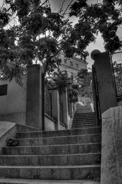 _MG_3200_1_2Enhancer