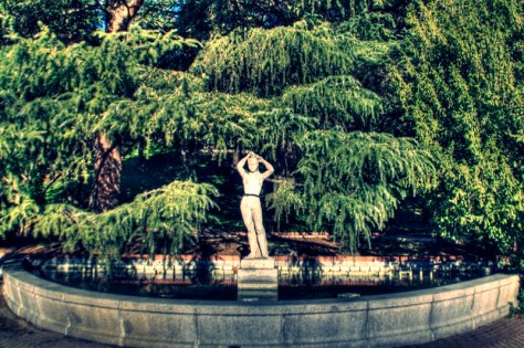 _MG_9505_6_7Enhancer