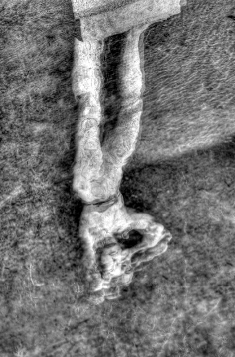 _MG_9579_80_81Enhancer