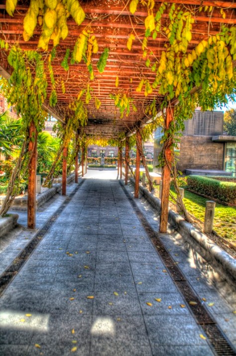 _MG_2163_4_5Enhancer