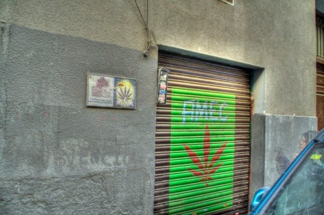 _MG_2760_1_2Enhancer