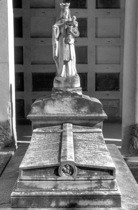 AX_01874_5_6Enhancer