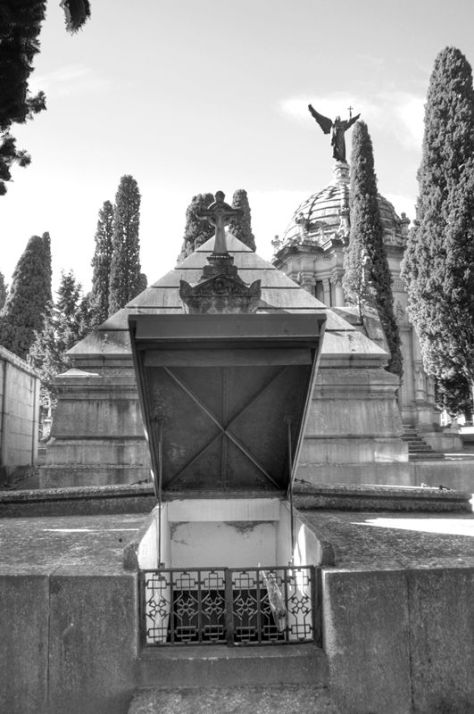 AX_01958_59_60Enhancer