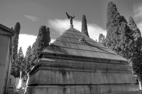 AX_01964_5_6Enhancer