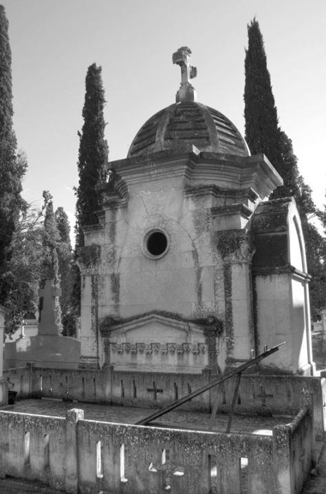 AX_01988_89_90Enhancer