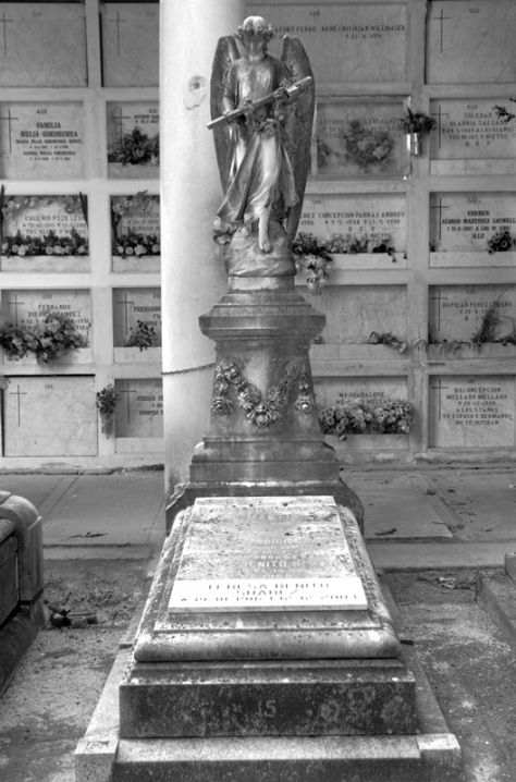 AX_02087_8_9Enhancer