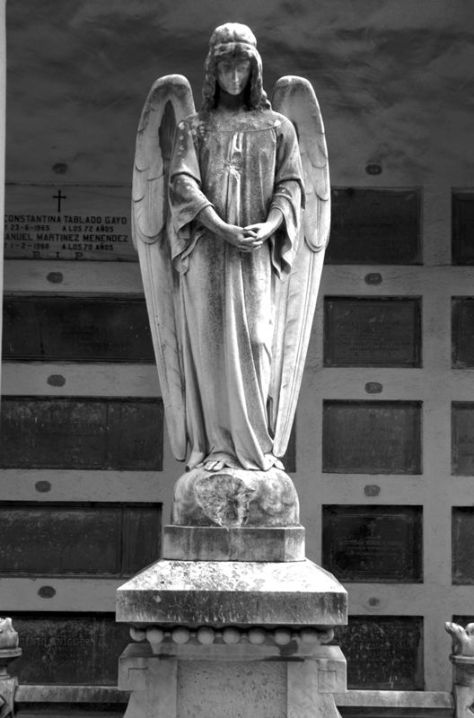 AX_02144_5_6Enhancer