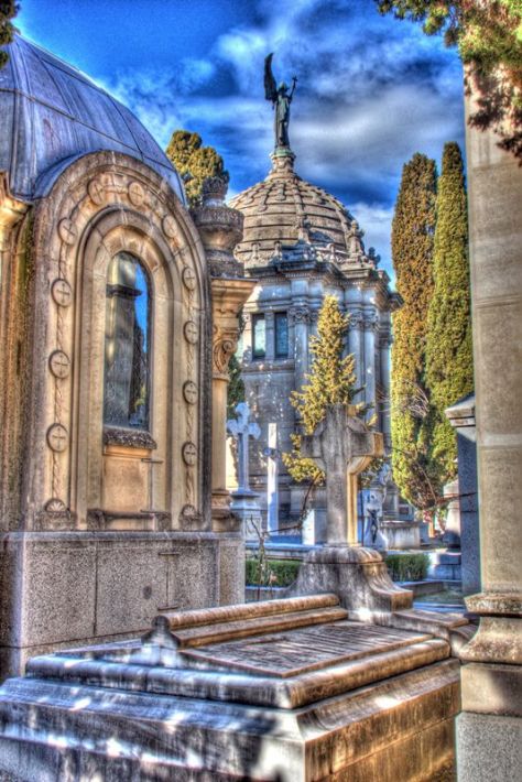 AX_01979_80_81Enhancer