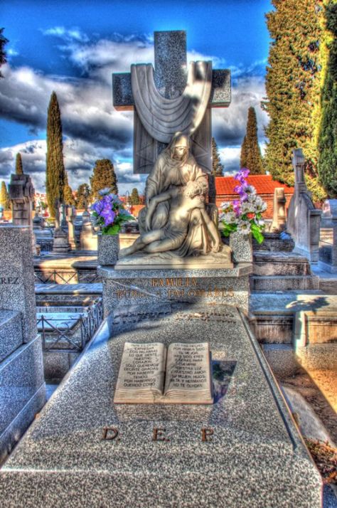 AX_02066_7_8Enhancer