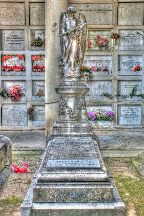 AX_02087_8_9Enhancer