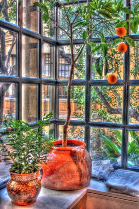 AX_02758_59_60Enhancer