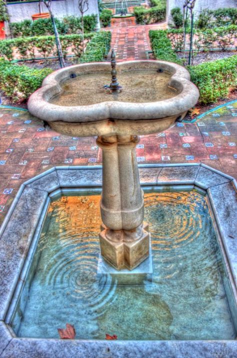 AX_02844_5_6Enhancer