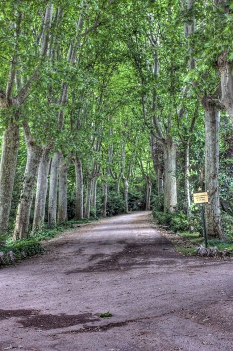 AX_10045_6_7Enhancer