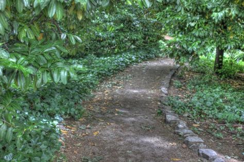 AX_10054_5_6Enhancer