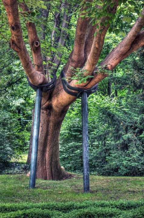 AX_10072_3_4Enhancer