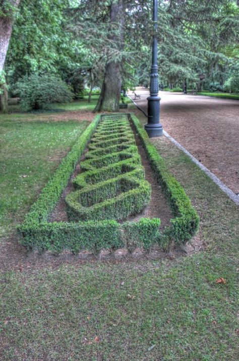 AX_10114_5_6Enhancer