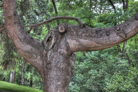 AX_10123_4_5Enhancer