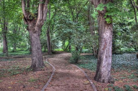 AX_10162_3_4Enhancer