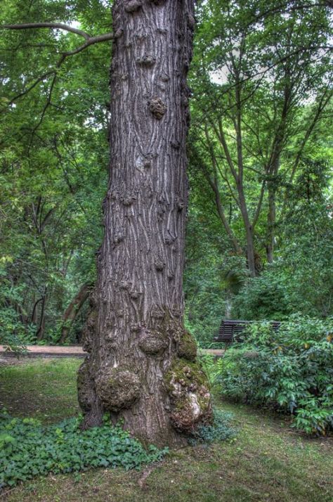 AX_10183_4_5Enhancer