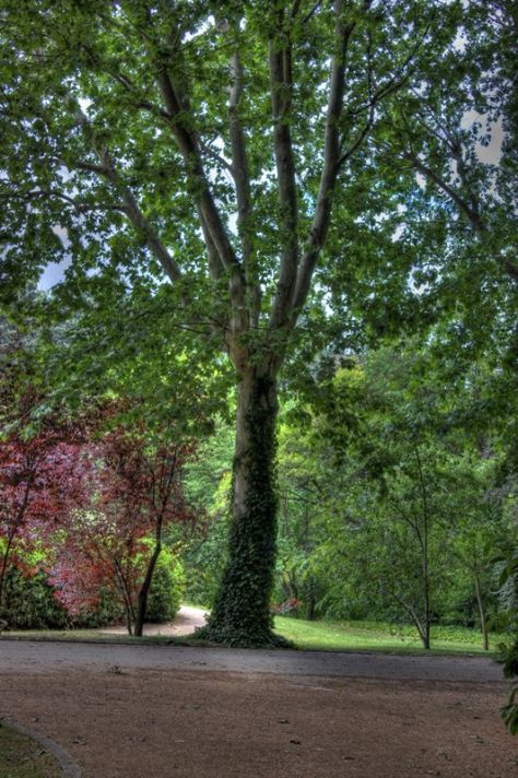 AX_10192_3_4Enhancer