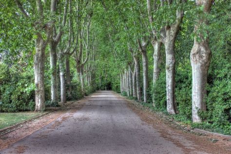 AX_10198_199_200Enhancer