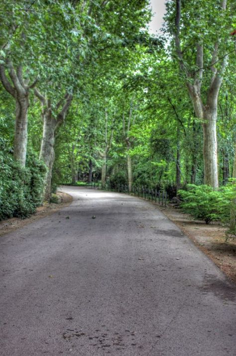 AX_10201_2_3Enhancer