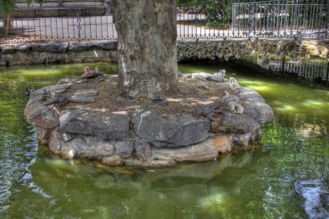 AX_10237_8_9Enhancer