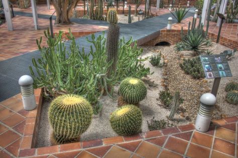 AX_10825_6_7Enhancer