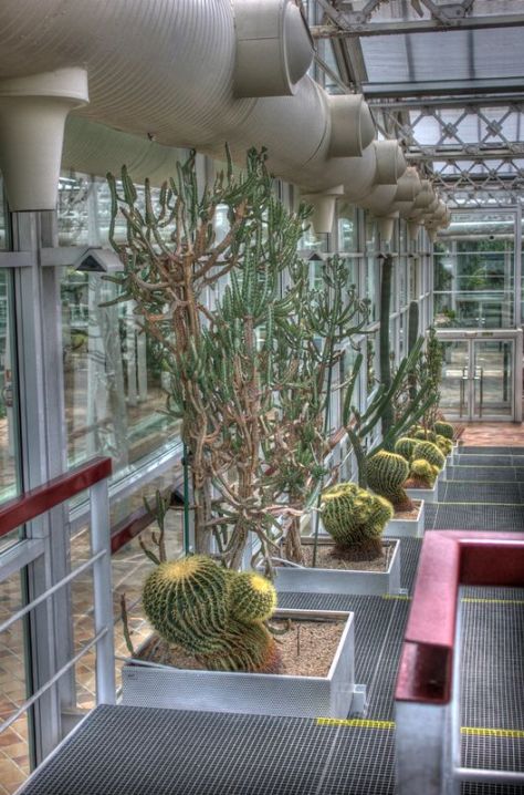 AX_10852_3_4Enhancer