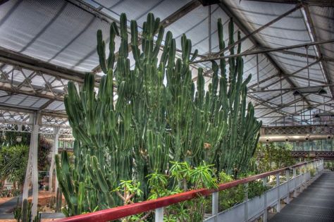 AX_10855_6_7Enhancer