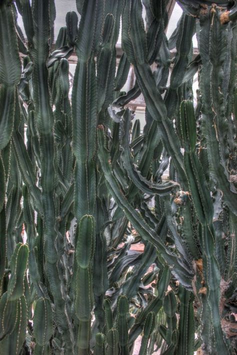 AX_10858_59_60Enhancer