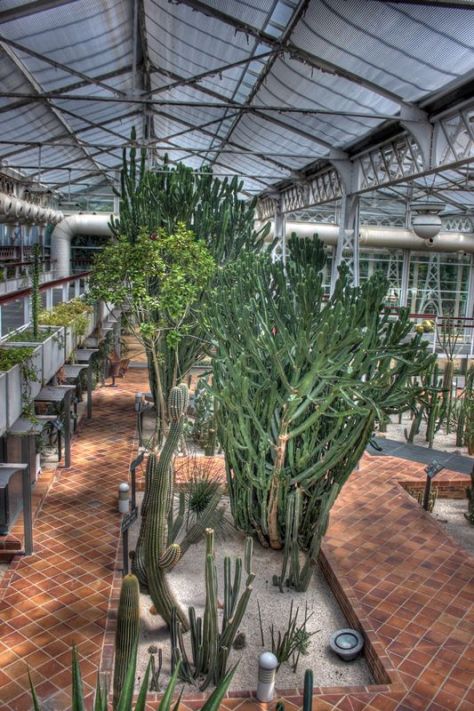 AX_10870_1_2Enhancer