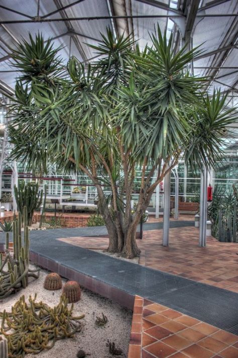 AX_10888_89_90Enhancer