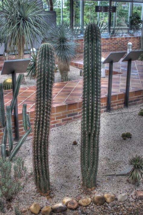 AX_10894_5_6Enhancer