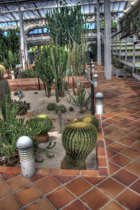 AX_10900_1_2Enhancer