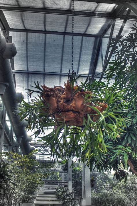 AX_10909_10_11Enhancer