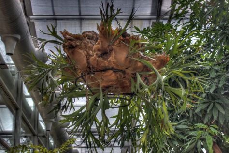 AX_10912_3_4Enhancer