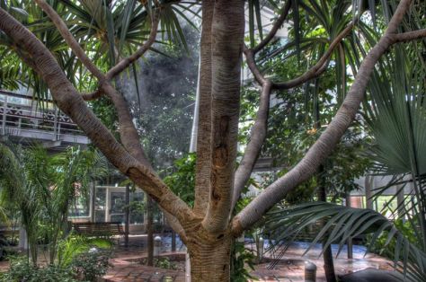 AX_10936_7_8Enhancer