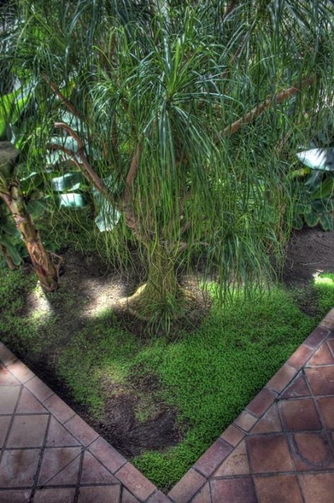 AX_10963_4_5Enhancer