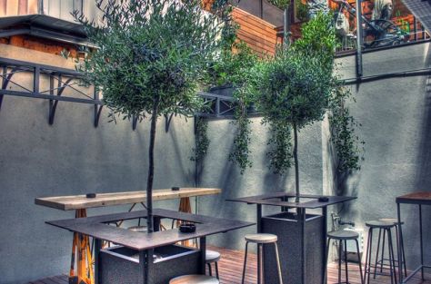 AX_11864_5_6Enhancer