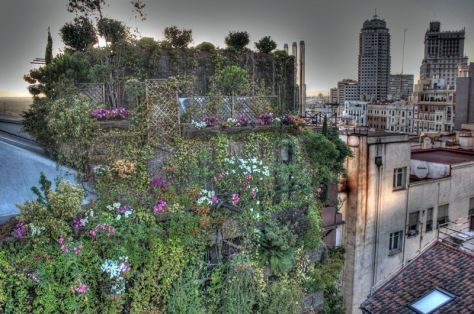 AX_13070_1_2Enhancer