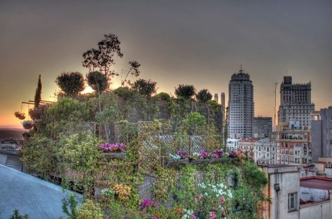 AX_13184_5_6Enhancer