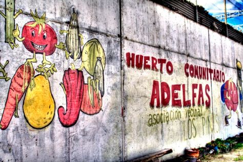 _MG_9837_8_9Enhancer